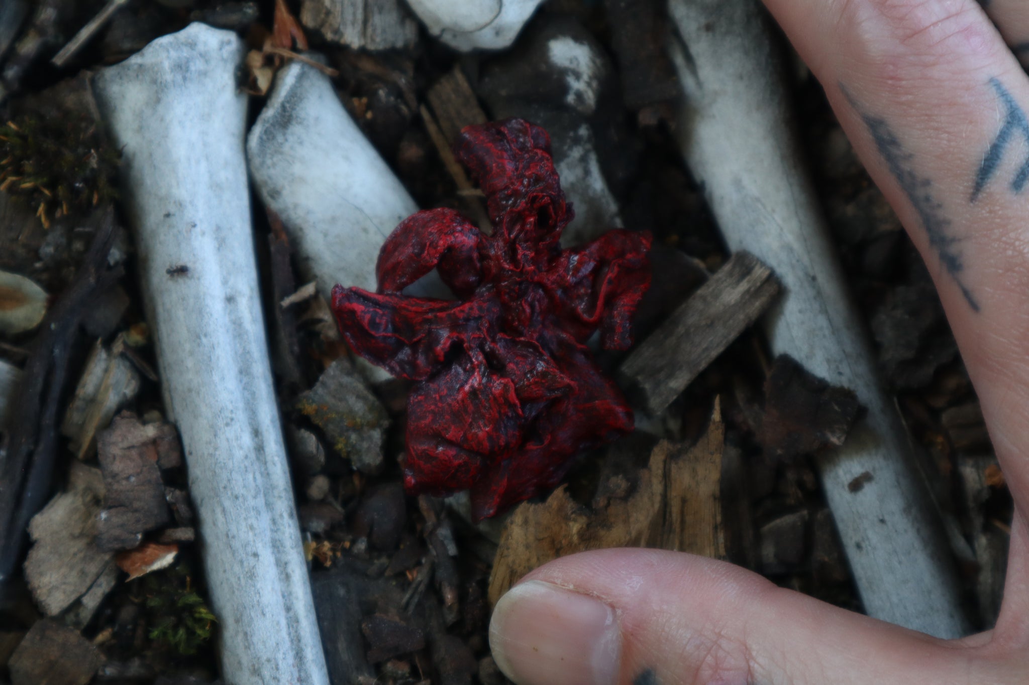 Dry Preserved Mink Lungs