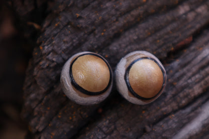Dry Preserved Coyote Eyeballs