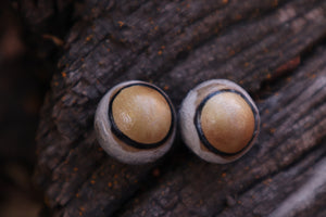 Dry Preserved Coyote Eyeballs