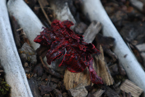 Dry Preserved Mink Lungs