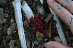 Dry Preserved Mink Lungs