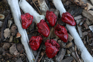 Dry Preserved Chicken Heart