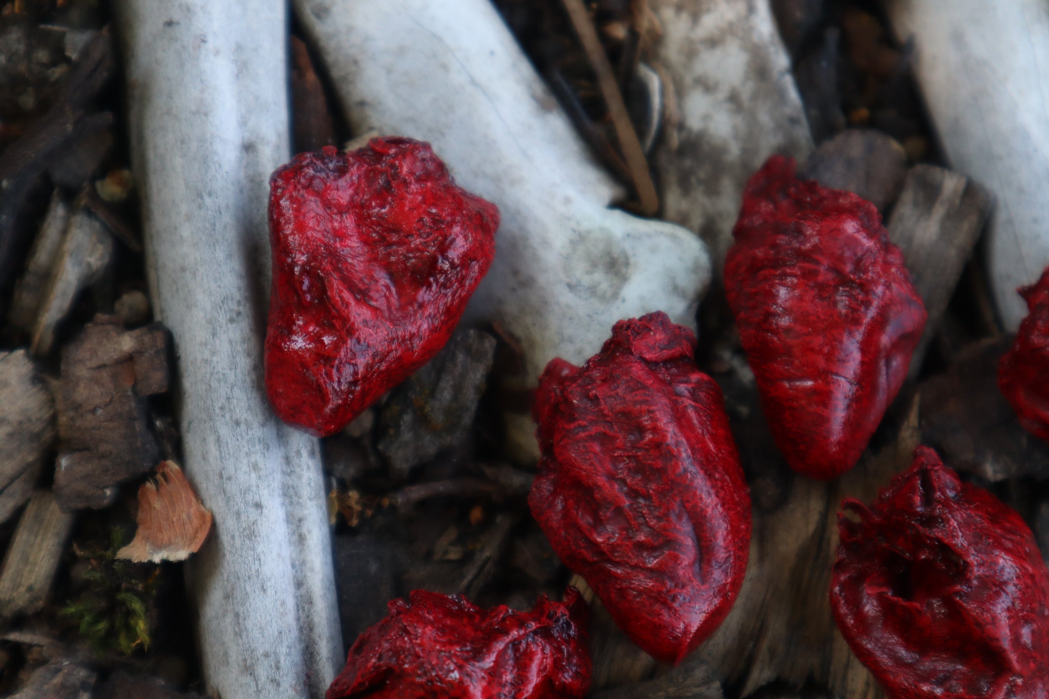 Dry Preserved Chicken Heart