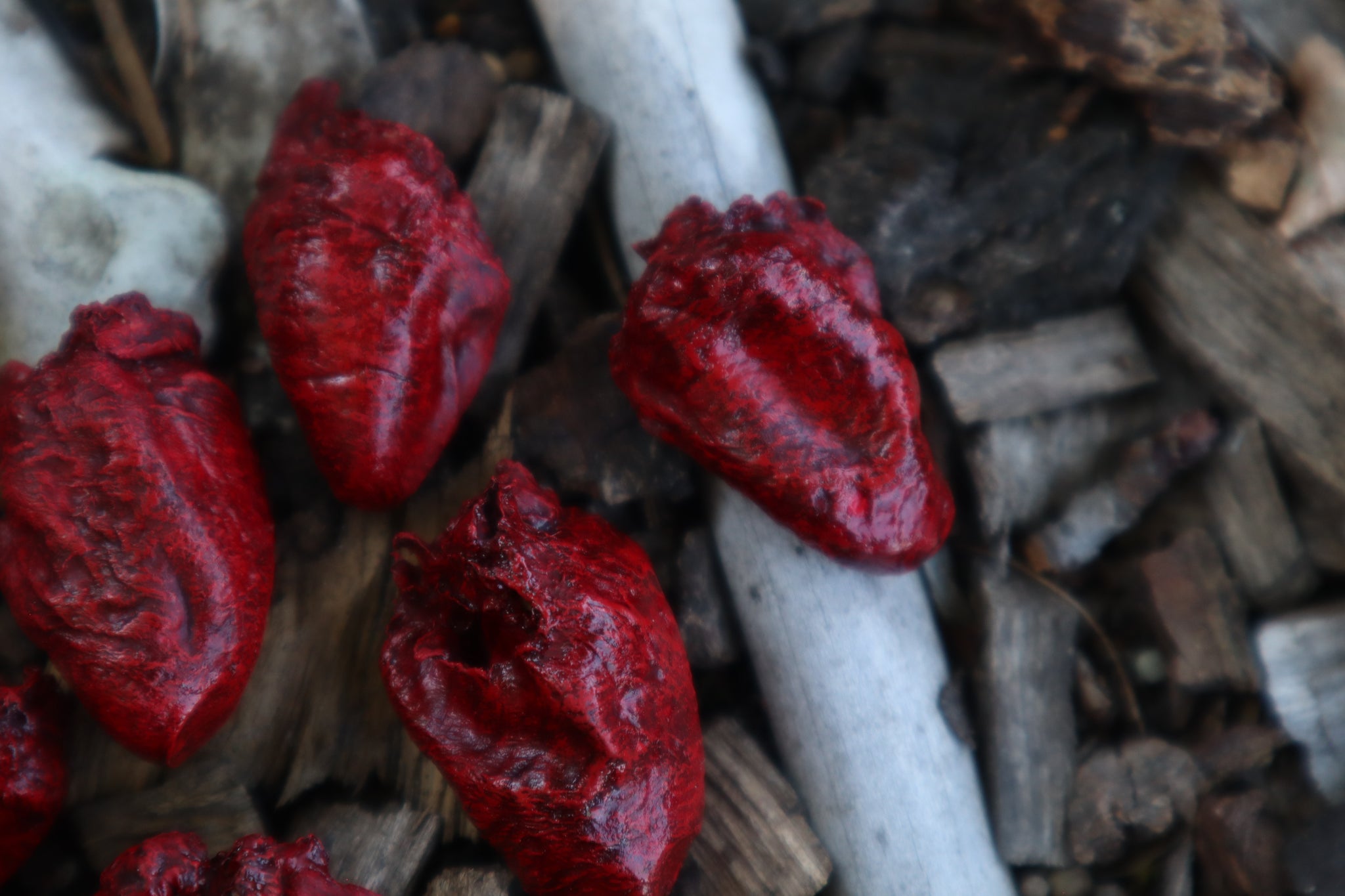 Dry Preserved Chicken Heart