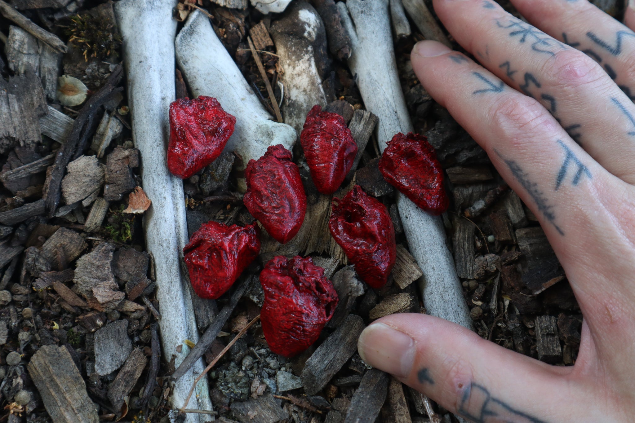 Dry Preserved Chicken Heart