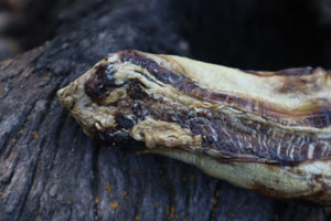 Dry Preserved Wolf Tongue