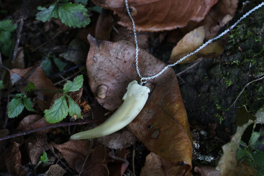 Badger Claw Necklace