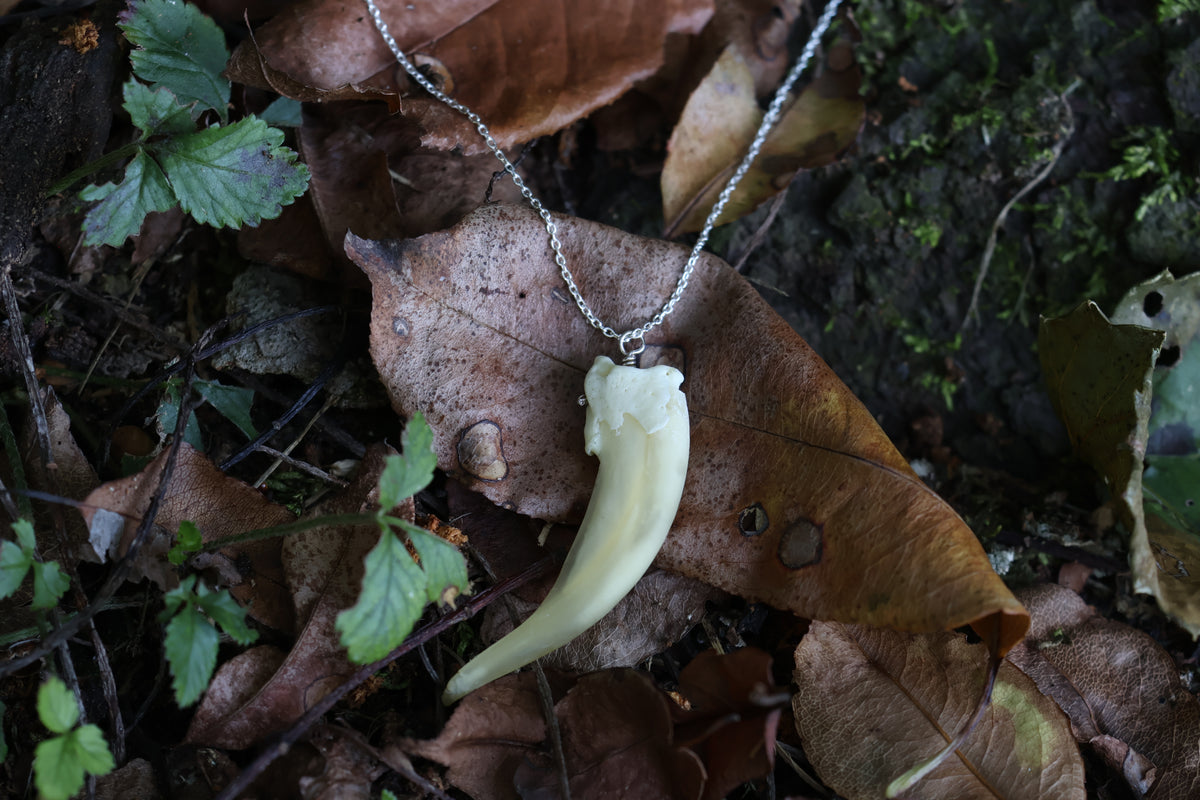 Badger Claw Necklace