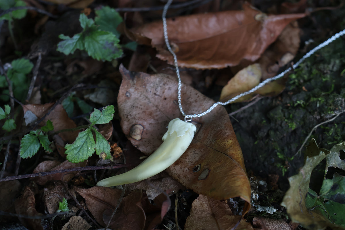 Badger Claw Necklace
