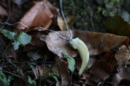 Badger Claw Necklace