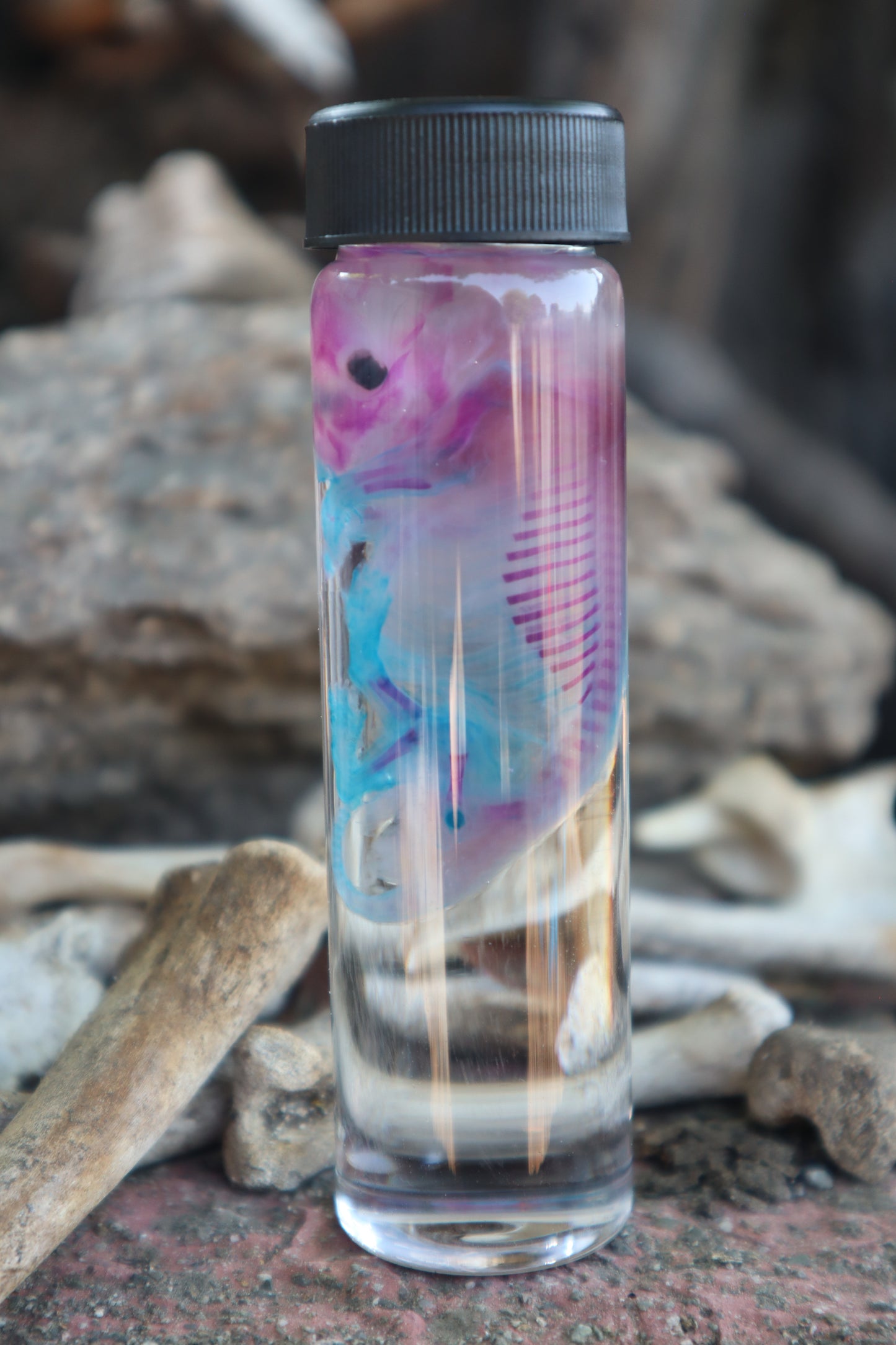 Diaphonized Fetal Skunk