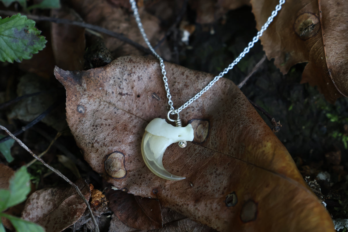 Reserved for Savannah - Bobcat Claw Necklace