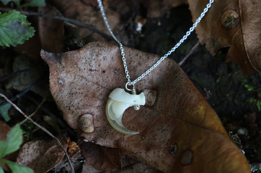 Bobcat Claw Necklace