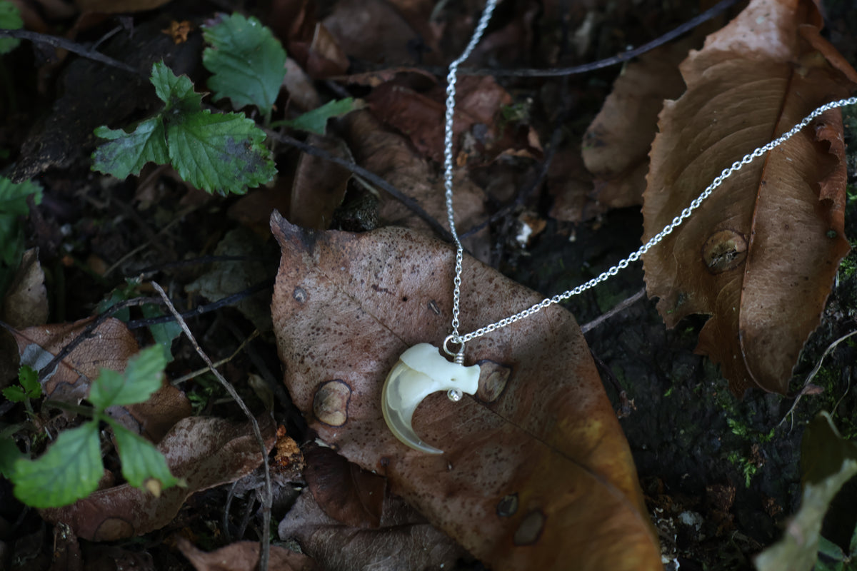 Reserved for Savannah - Bobcat Claw Necklace