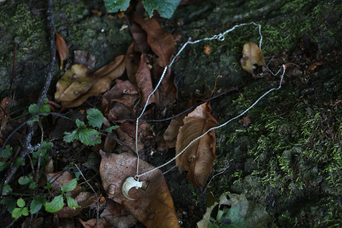 Reserved for Savannah - Bobcat Claw Necklace