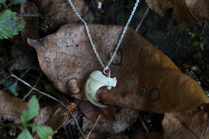 Bobcat Claw Necklace