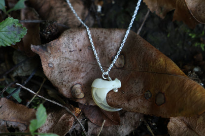 Reserved for Savannah - Bobcat Claw Necklace
