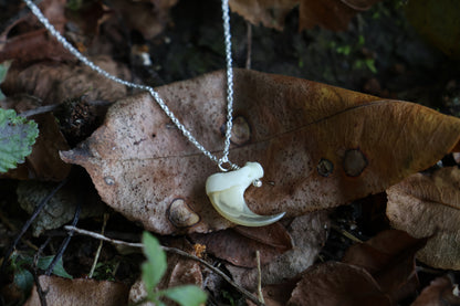Reserved for Savannah - Bobcat Claw Necklace