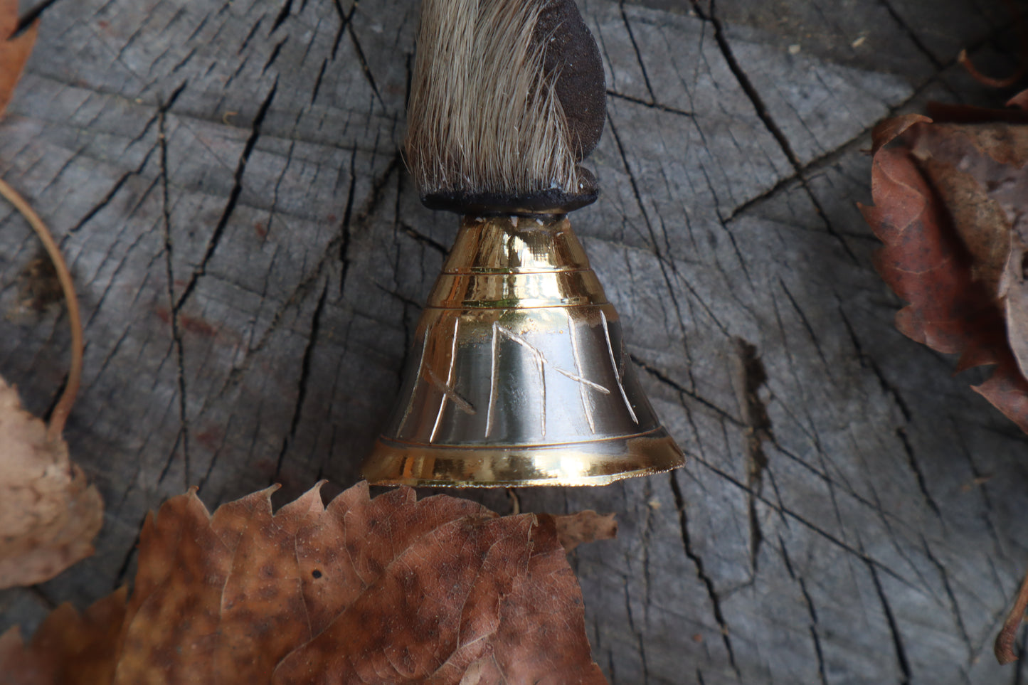Call of the Aeon - Raccoon Paw Bell