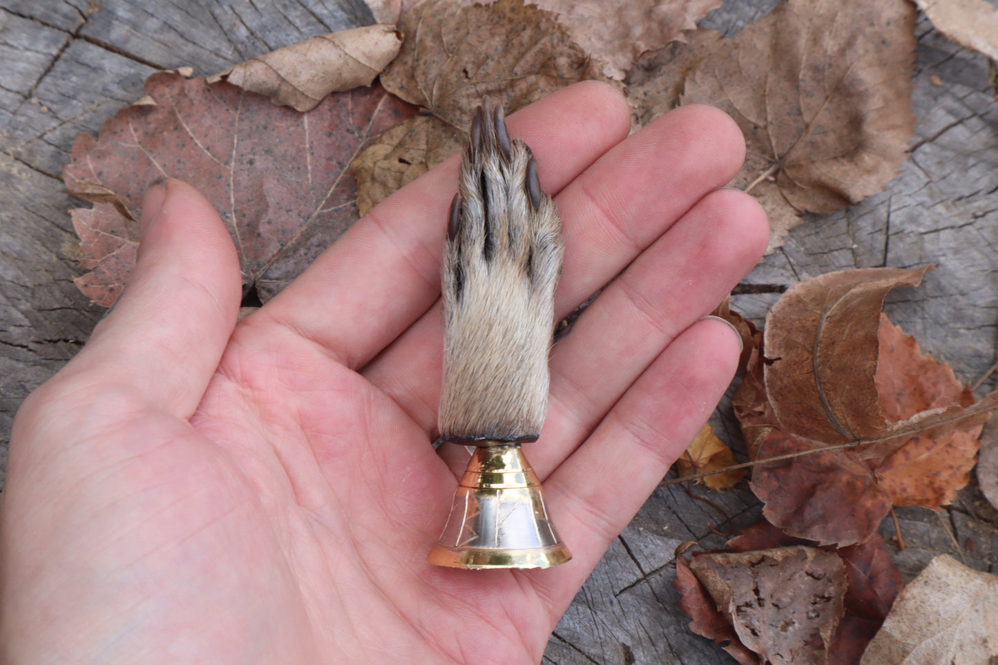 Call of the Aeon - Raccoon Paw Bell