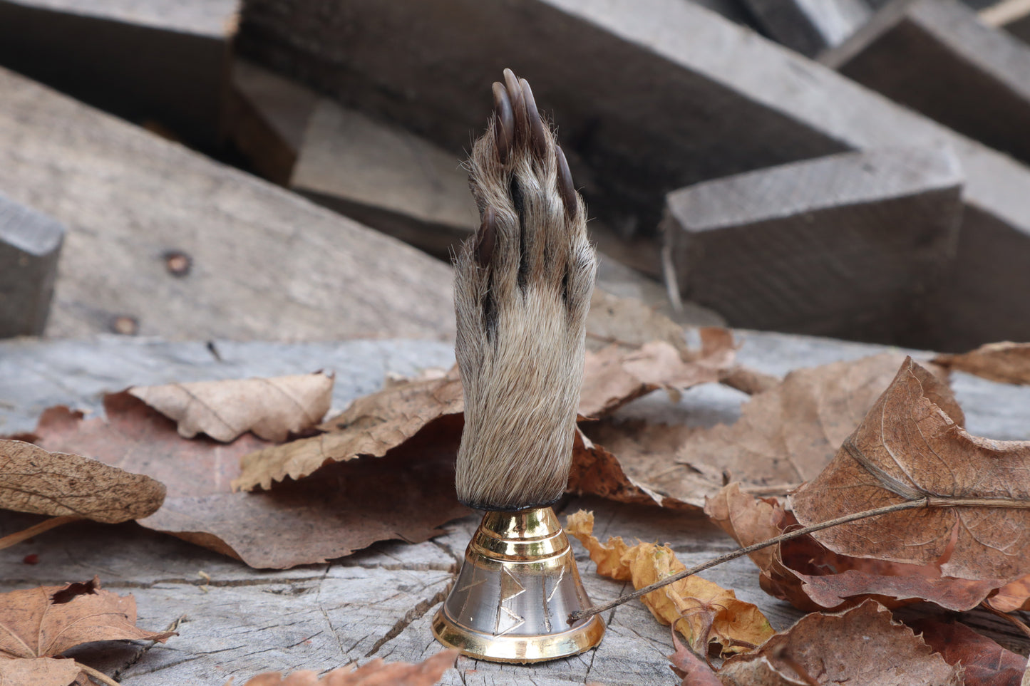 Call of the Aeon - Raccoon Paw Bell