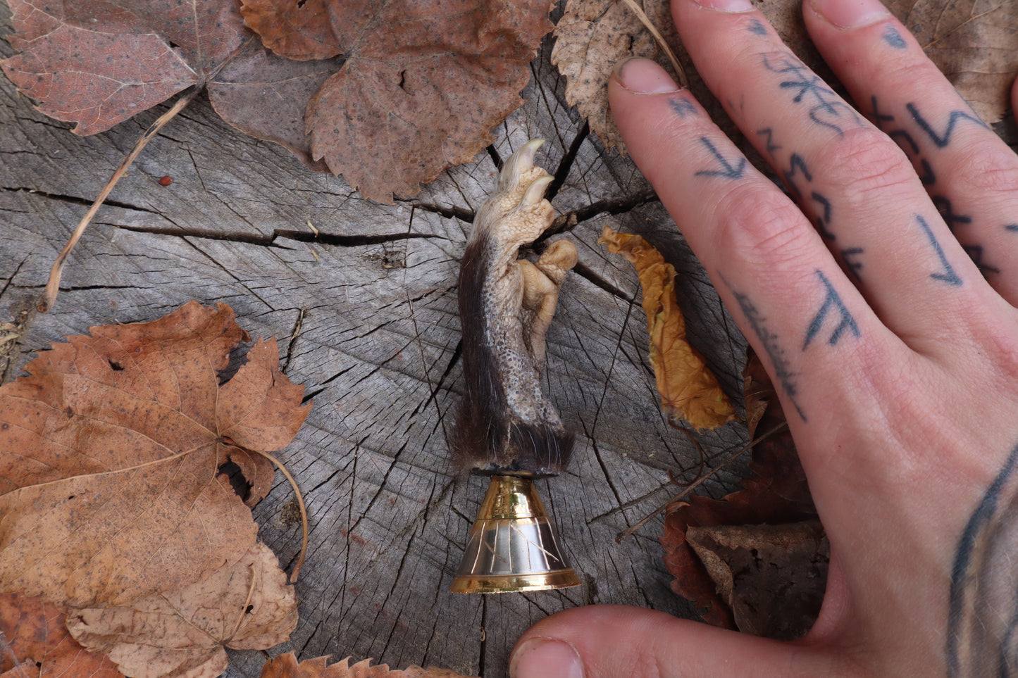 Call of the Aeon - Opossum Paw Bell