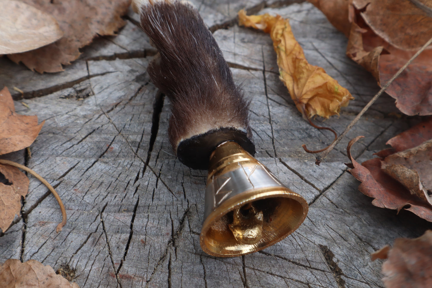 Call of the Aeon - Opossum Paw Bell