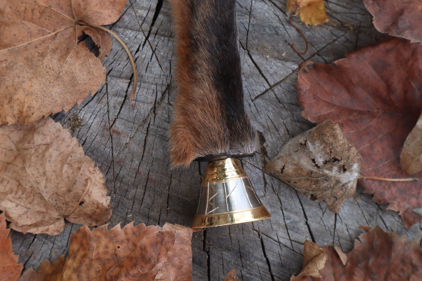 Call of the Aeon - Red Fox Paw Bell