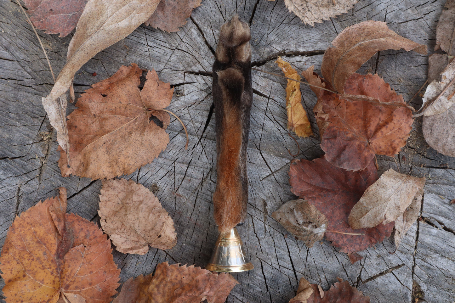 Call of the Aeon - Red Fox Paw Bell