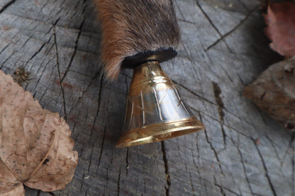Call of the Aeon - Red Fox Paw Bell