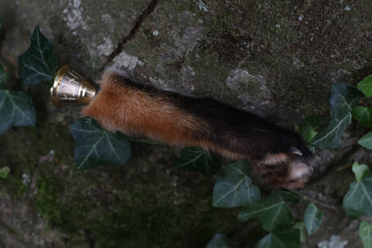 Call of the Aeon - Red Fox Paw Bell