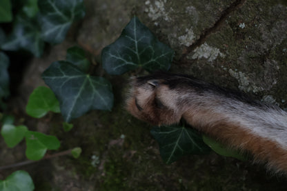 Call of the Aeon - Red Fox Paw Bell