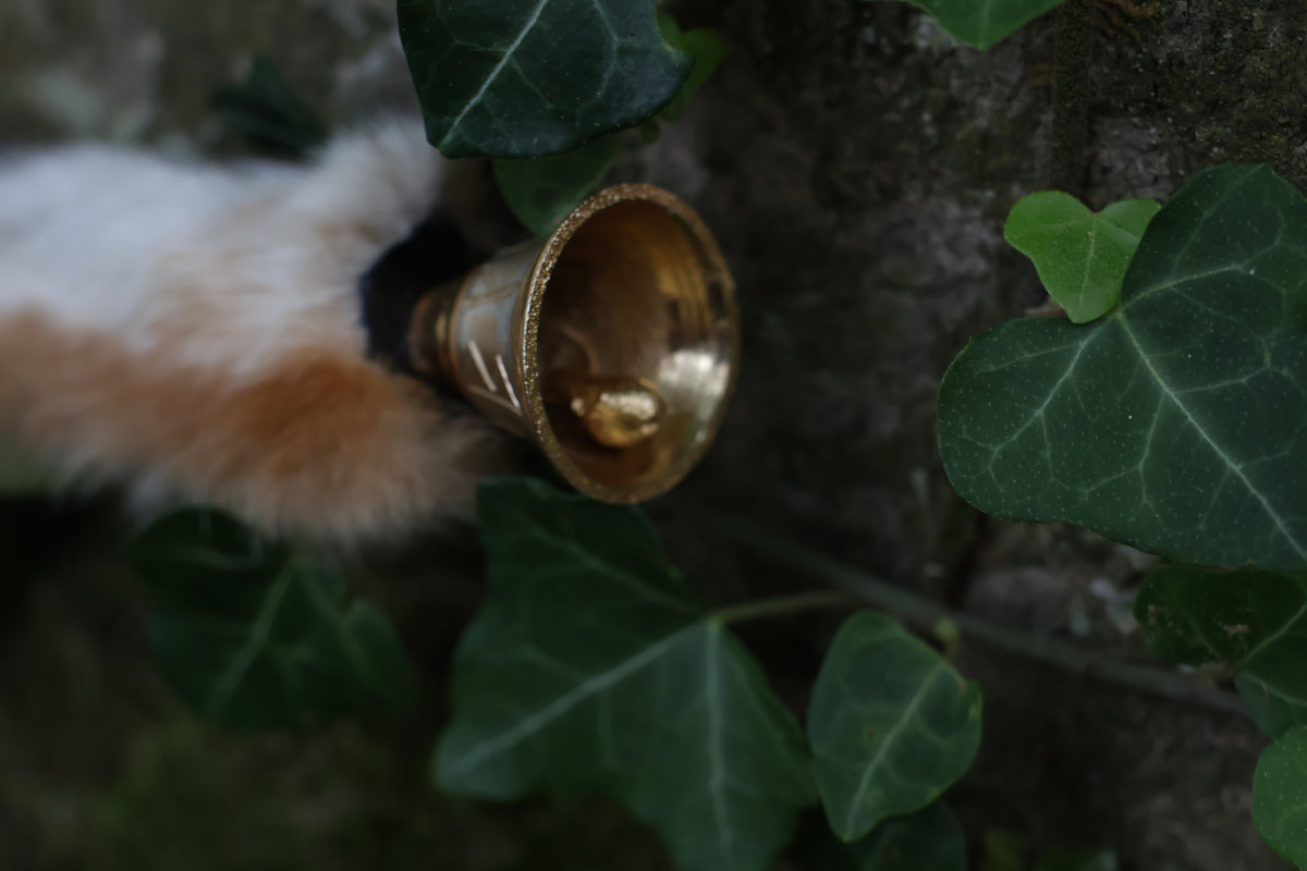 Call of the Aeon - Red Fox Paw Bell