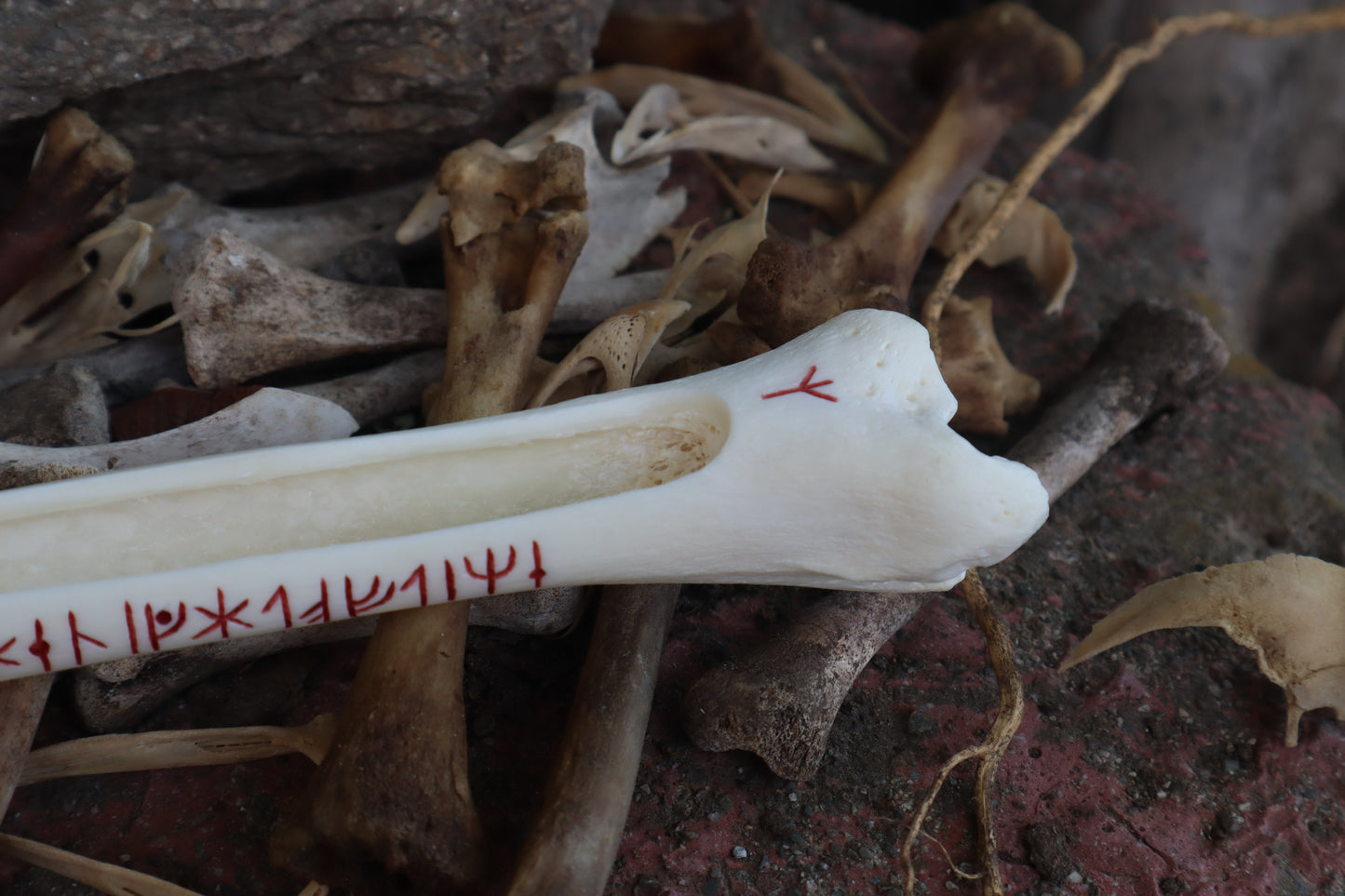 The Night of Time - Wolf Tibia Incense Burner