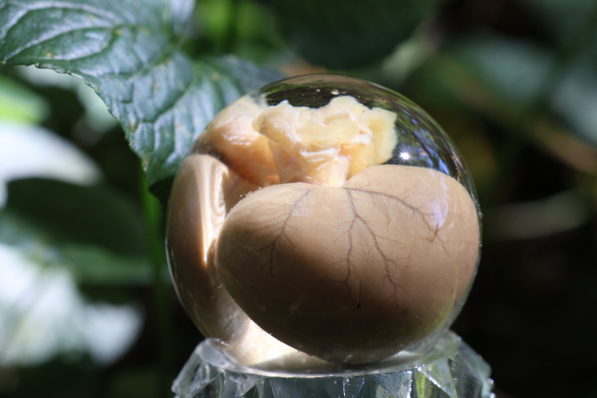 Black Cat Kidney Crystal Ball with Base