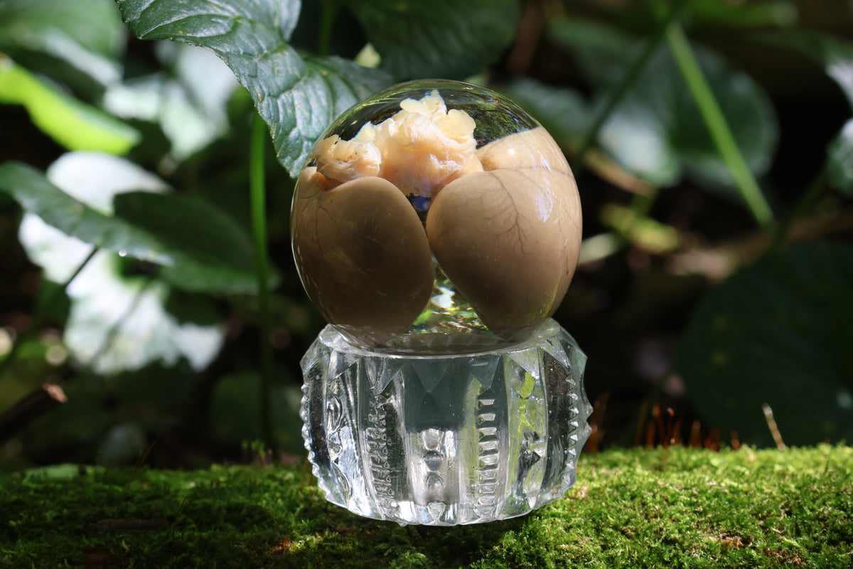 Black Cat Kidney Crystal Ball with Base