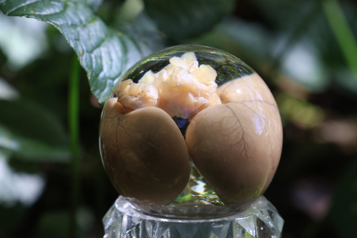 Black Cat Kidney Crystal Ball with Base
