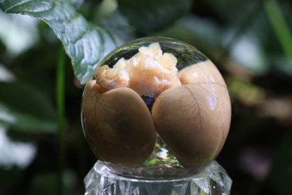Black Cat Kidney Crystal Ball with Base