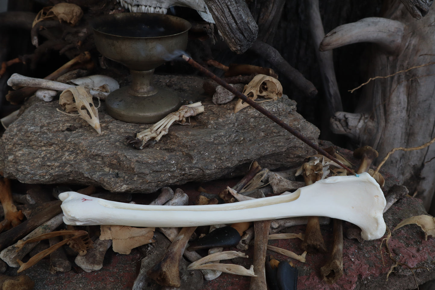 The Night of Time - Wolf Tibia Incense Burner