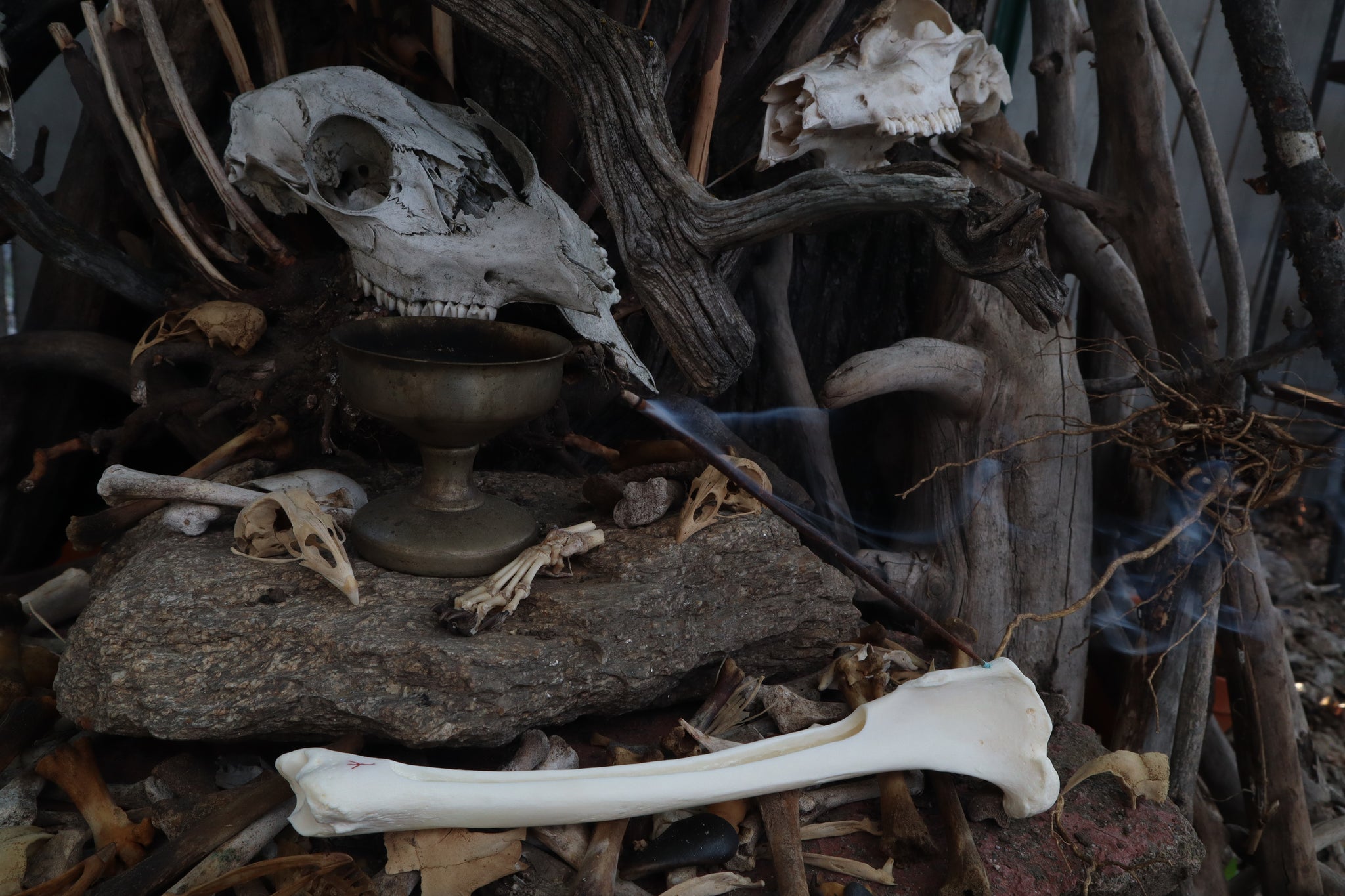 The Night of Time - Wolf Tibia Incense Burner