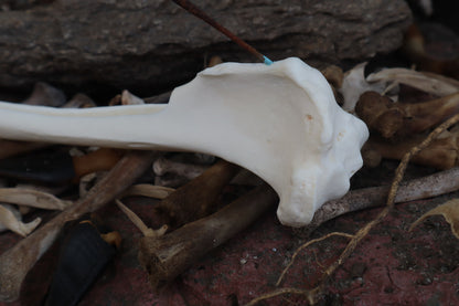The Night of Time - Wolf Tibia Incense Burner