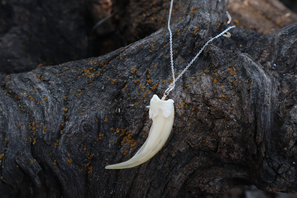 Badger Claw Necklace