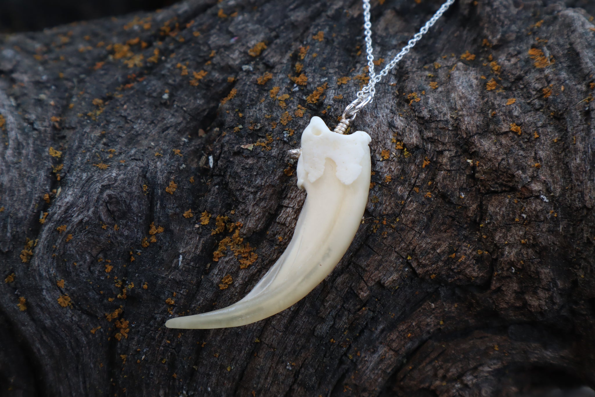 Badger Claw Necklace