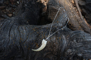 Badger Claw Necklace