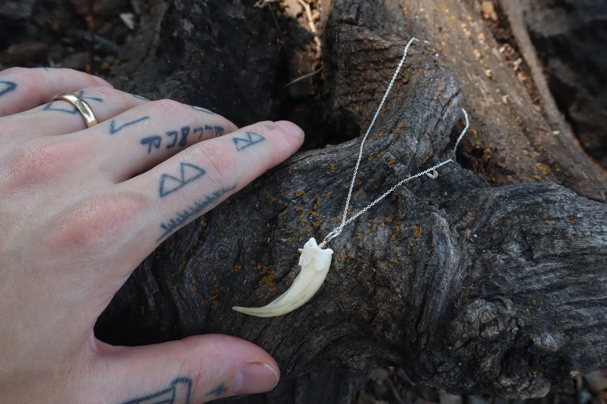 Badger Claw Necklace