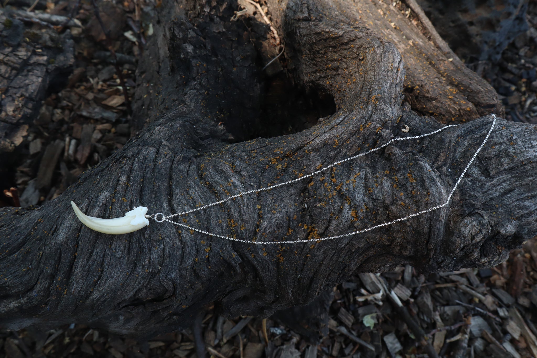 Badger Claw Necklace