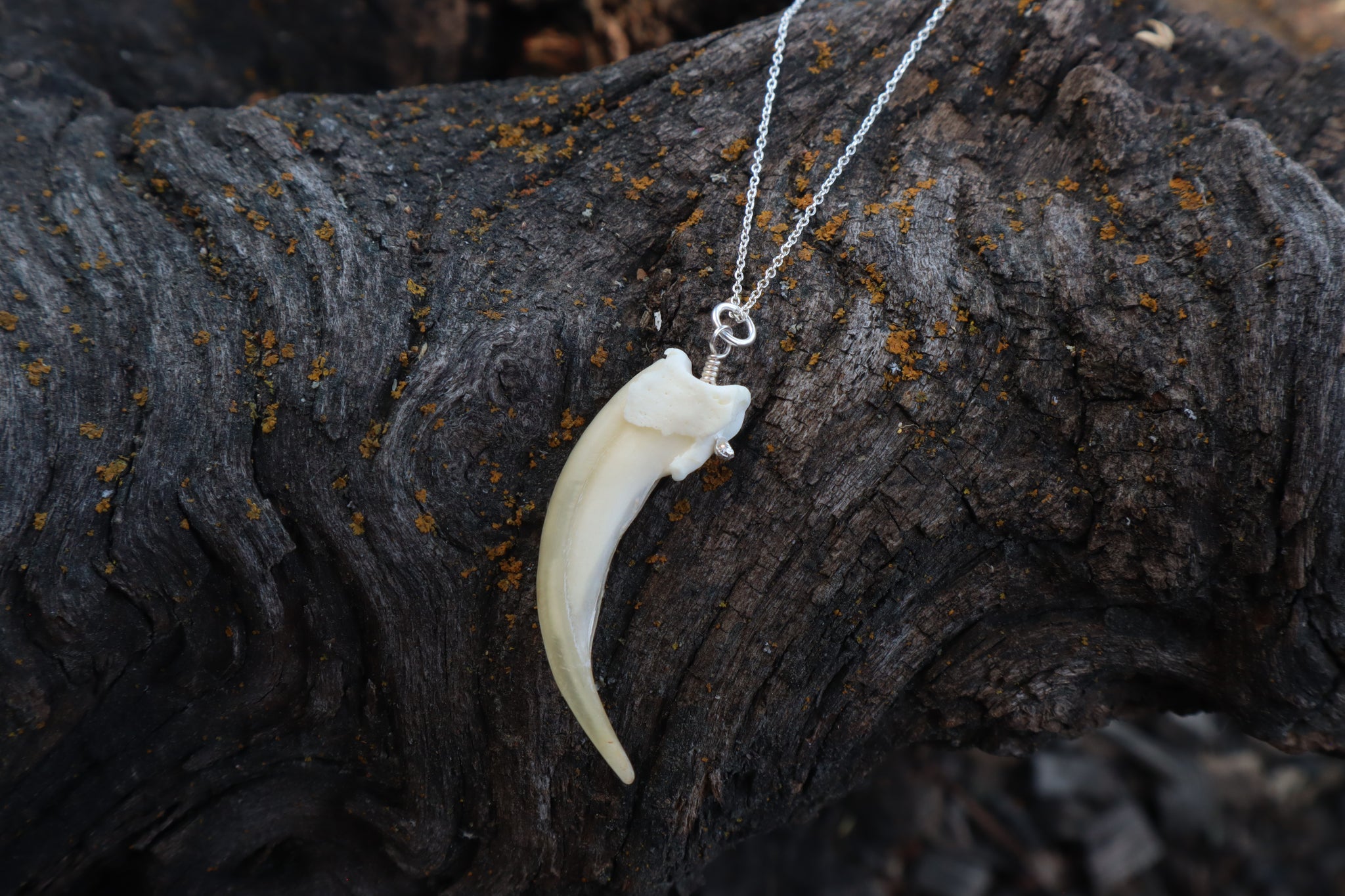 Badger Claw Necklace