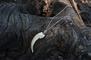 Badger Claw Necklace