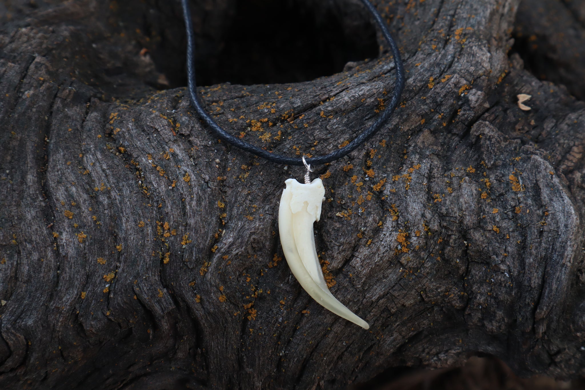 Badger Claw Necklace