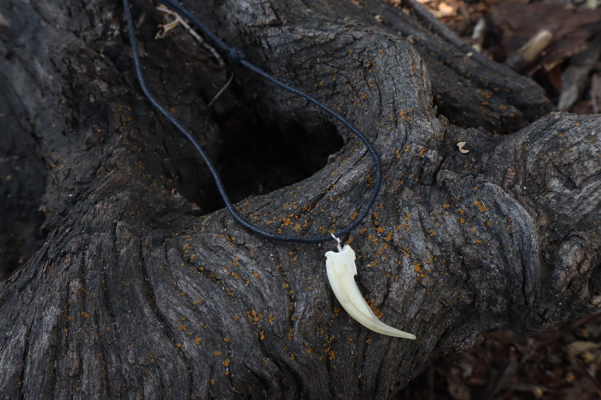 Badger Claw Necklace